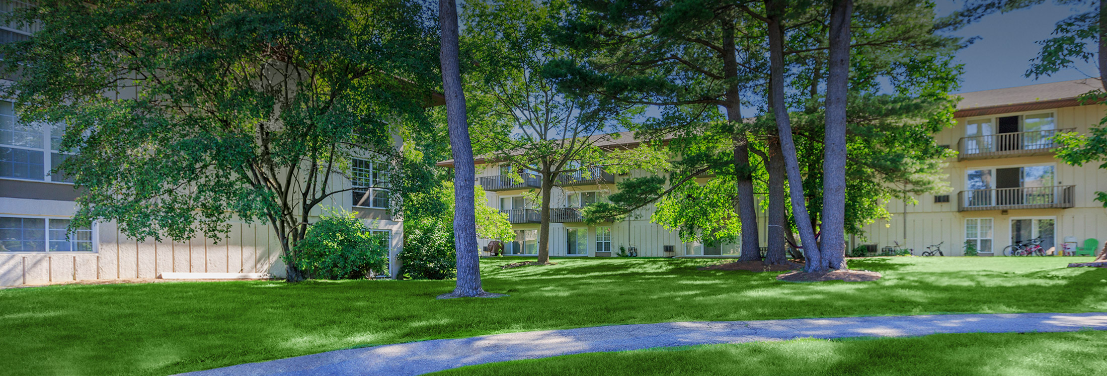 Gallery Page Image